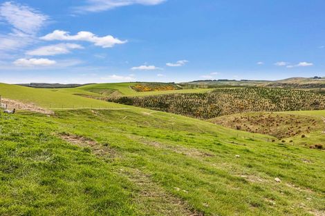 Photo of property in 655 Rankleburn Road, Rankleburn, Gore, 9771