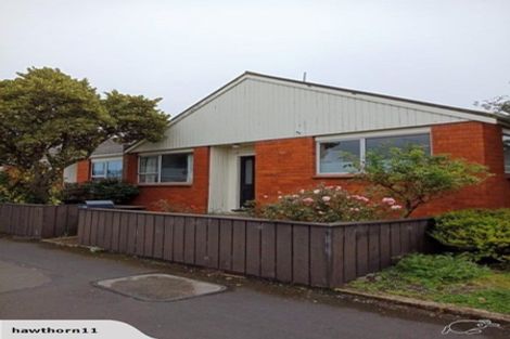 Photo of property in 20d Oxford Street, South Dunedin, Dunedin, 9012