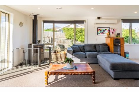 Photo of property in 3 Hawthorn Place, Gleniti, Timaru, 7910