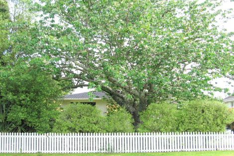 Photo of property in 4 Elm Street, Mangapapa, Gisborne, 4010