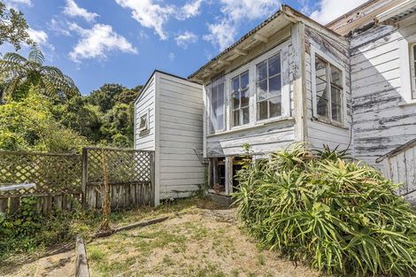 Photo of property in 7 Balmoral Terrace, Newtown, Wellington, 6021