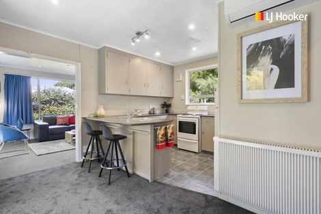 Photo of property in 91 Somerville Street, Andersons Bay, Dunedin, 9013