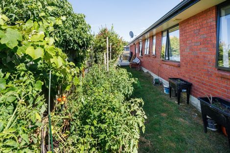 Photo of property in 57 North Street, Palmerston North, 4410