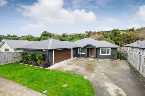 Photo of property in 29 Freedom Drive, Kelvin Grove, Palmerston North, 4414