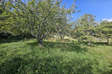 Photo of property in 57 State Highway 3, Marybank, Whanganui, 4572