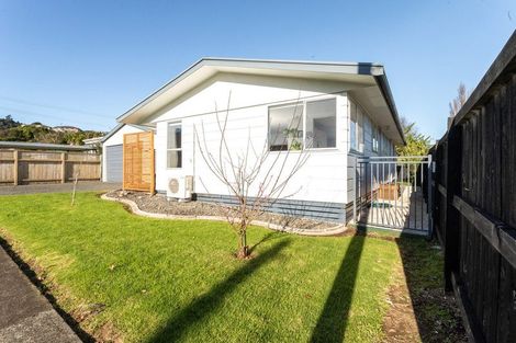 Photo of property in 101 Lowe Avenue, Thames, 3500