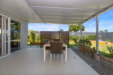 Photo of property in 12 Amberley Place, Flagstaff, Hamilton, 3210