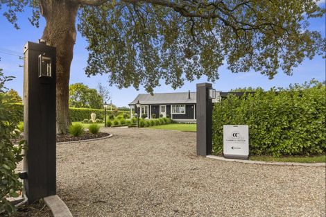 Photo of property in 1/347 Racecourse Road, Cambridge, 3493