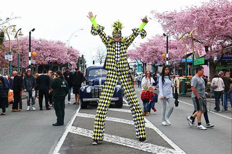 Photo of property in 26b Greerton Road, Gate Pa, Tauranga, 3112