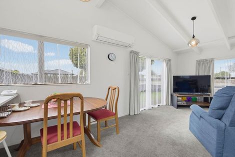 Photo of property in 133 Tiro Tiro Road, Levin, 5510