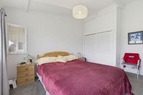 Photo of property in 133 Tiro Tiro Road, Levin, 5510
