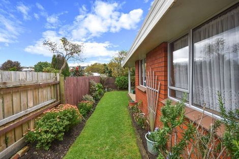 Photo of property in 44d Grove Street, Saint Kilda, Dunedin, 9012