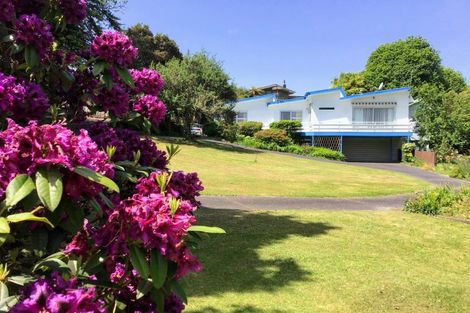 Photo of property in 19 Lairdvale Road, Taumarunui, 3920