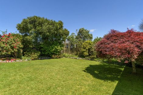 Photo of property in 20b Otumoetai Road, Judea, Tauranga, 3110