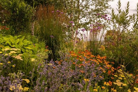 Photo of property in 10 Avignon Place, Fairhall, 7272