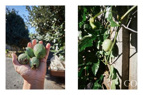 Photo of property in 22 Macmillan Street, Katikati, 3129