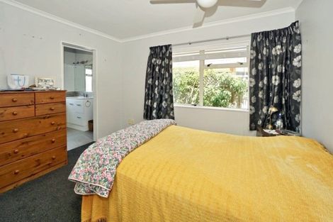 Photo of property in 51 Boucher Avenue, Te Puke, 3119