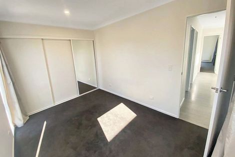 Photo of property in 29 Wineberry Avenue, Amberley, 7410