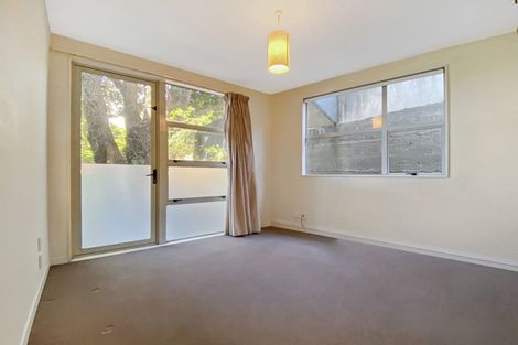 Photo of property in 9/30 Hanson Street, Mount Cook, Wellington, 6021