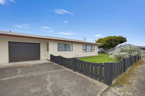 Photo of property in 133 Tiro Tiro Road, Levin, 5510