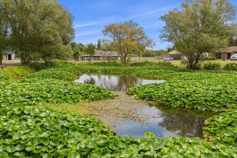 Photo of property in 6 Brian Curle Close, Huntly, 3700