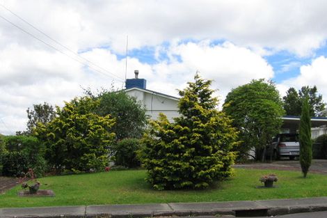 Photo of property in 99 Webster Avenue, Mount Roskill, Auckland, 1041