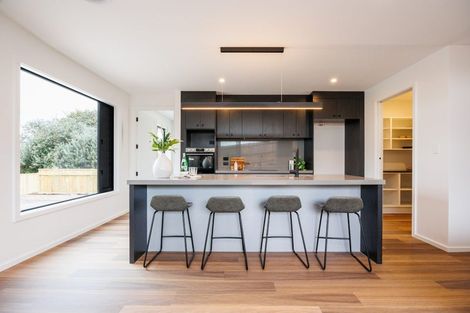 Photo of property in 47 Ashford Avenue, Hokowhitu, Palmerston North, 4410