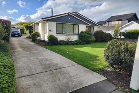 Photo of property in 17 Mcsaveneys Road, Marshland, Christchurch, 8051