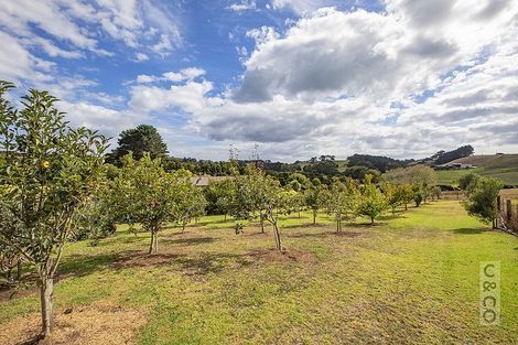 Photo of property in 231 Taiapa Road, Muriwai, Waimauku, 0881
