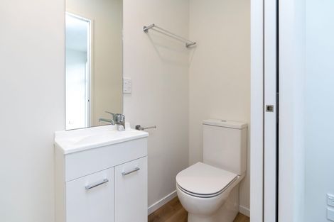 Photo of property in 118 Salisbury Street, Ashhurst, 4810