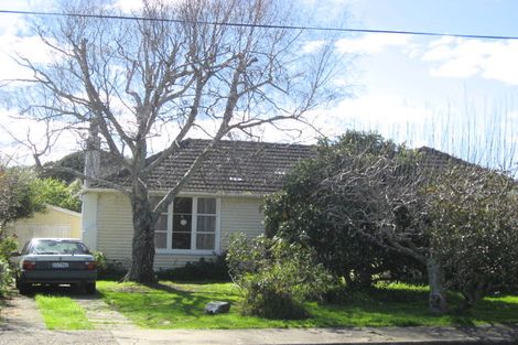 Photo of property in 31 Saint Annes Street, Levin, 5510