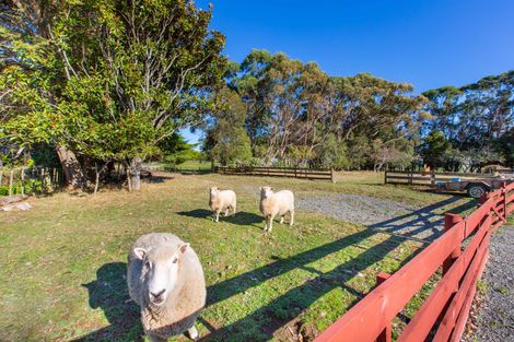 Photo of property in 1154 Te Akau Road South, Te Akau, Ngaruawahia, 3793