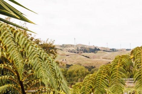 Photo of property in 221 The Terrace, Ashhurst, 4810