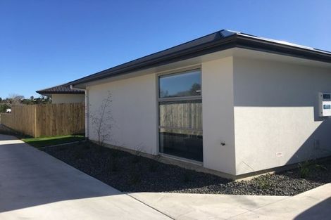 Photo of property in 3/11 Miro Street, Maeroa, Hamilton, 3200