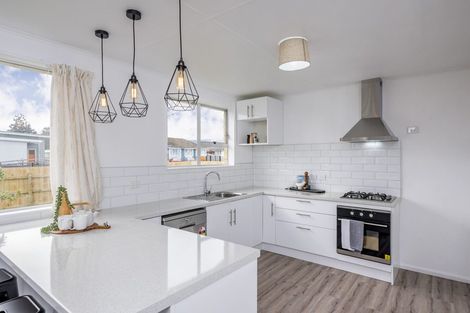 Photo of property in 42 Hinemoa Street, Levin, 5510