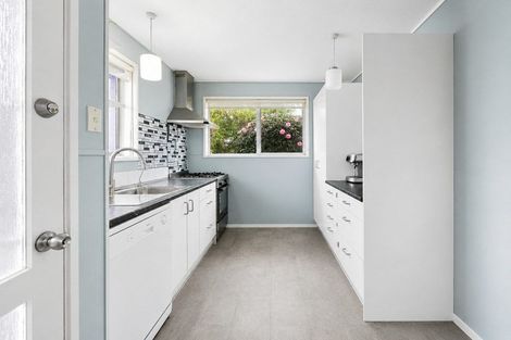 Photo of property in 84a Marshall Street, Fairfield, Hamilton, 3214
