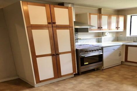 Photo of property in 12 Birch Street, Hutt Central, Lower Hutt, 5010