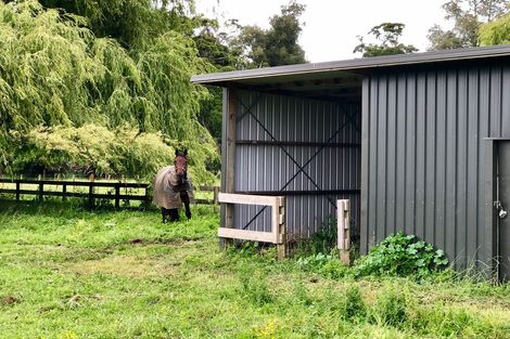 Photo of property in 821 Parallel Road, Ohaupo, 3881