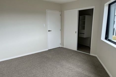 Photo of property in 59 Minhas Road, Papakura, 2110