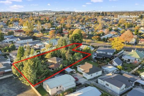 Photo of property in 201 Galloway Street, Hamilton East, Hamilton, 3216