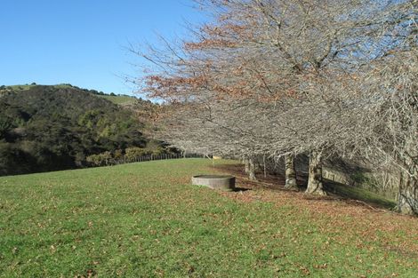 Photo of property in 127a Otonga Valley Road, Raglan, 3295