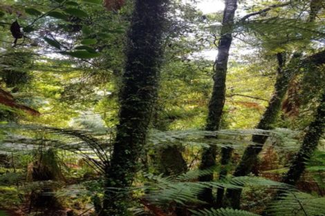 Photo of property in 74 Wangapeka Road, Little Wanganui, Karamea, 7893