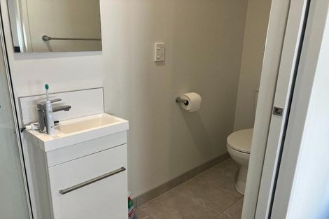 Photo of property in 17 Verlamio Lane, Edgeware, Christchurch, 8013