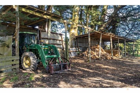 Photo of property in 260 Downs Road, Geraldine Downs, Geraldine, 7991