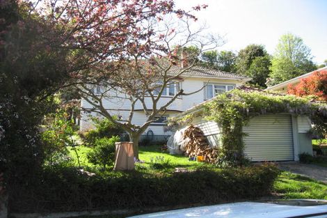 Photo of property in 29 Murphy Street, Toi Toi, Nelson, 7010