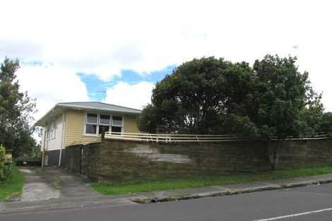 Photo of property in 97 Webster Avenue, Mount Roskill, Auckland, 1041