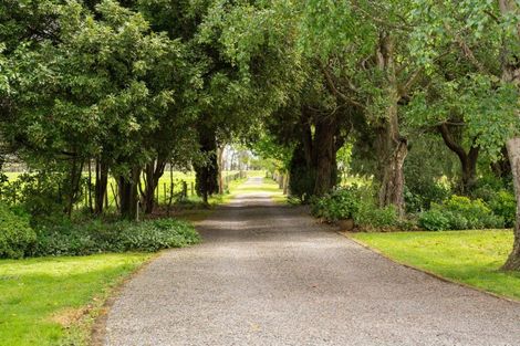 Photo of property in 119 Te Whiti Sett Road, Te Whiti, Masterton, 5884