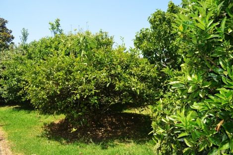 Photo of property in 15 Ferry Road, Waipu, 0510