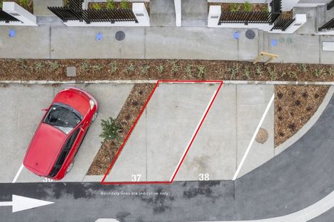 Photo of property in 15 Hadlow Terrace, Grey Lynn, Auckland, 1021