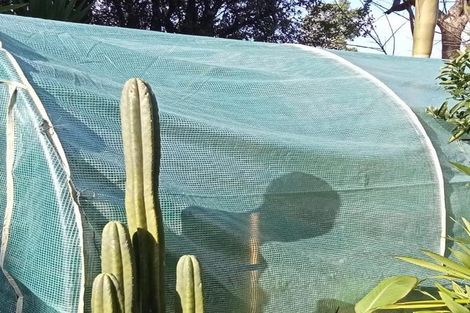 Photo of property in 40 Judea Road, Judea, Tauranga, 3110